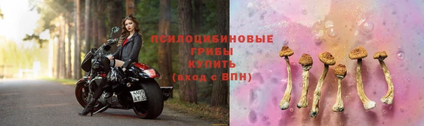 не бодяженный Алзамай