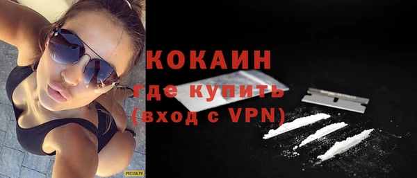 соль ск Алексин