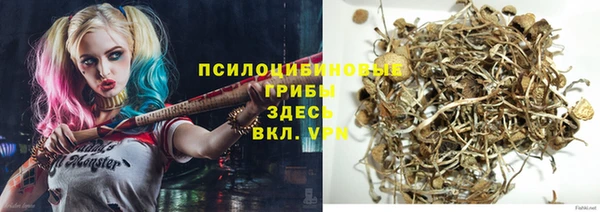 соль ск Алексин